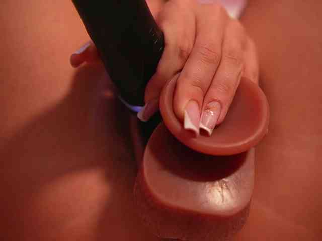 sashalorenz sashalorenz