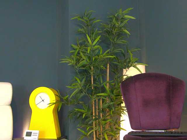 CougarMilf's BongaCams show and profile