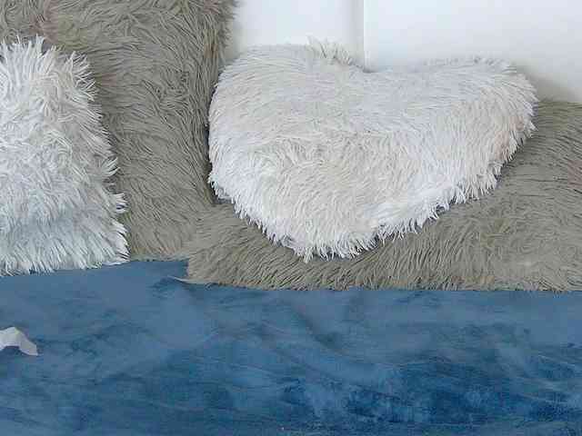 CougarMilf CougarMilf