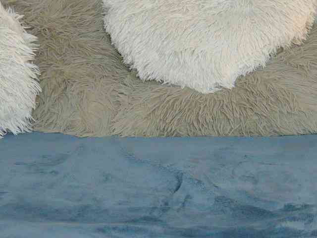 CougarMilf CougarMilf