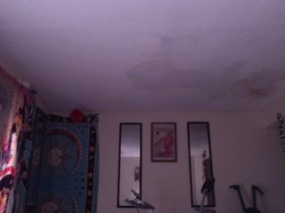 AdviceColumn Porn Show