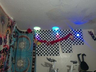 AdviceColumn Porn Show