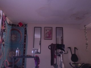 AdviceColumn Porn Show