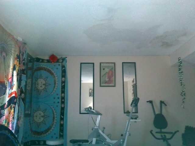 AdviceColumn's BongaCams show and profile