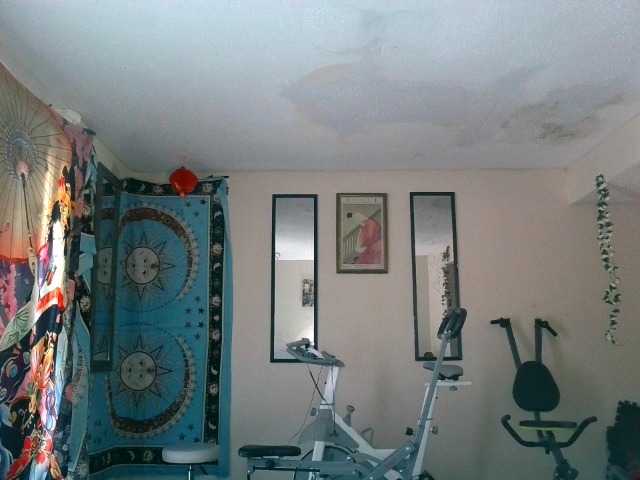 AdviceColumn's BongaCams show and profile