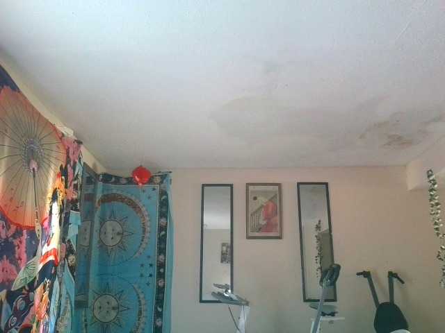 AdviceColumn's BongaCams show and profile