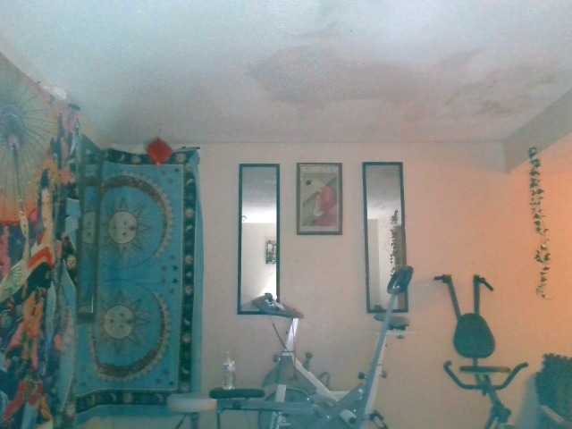 AdviceColumn's BongaCams show and profile