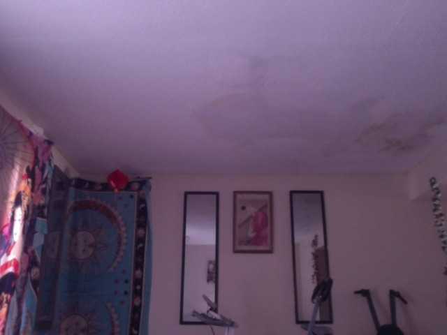 AdviceColumn's BongaCams show and profile