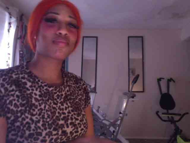 AdviceColumn AdviceColumn