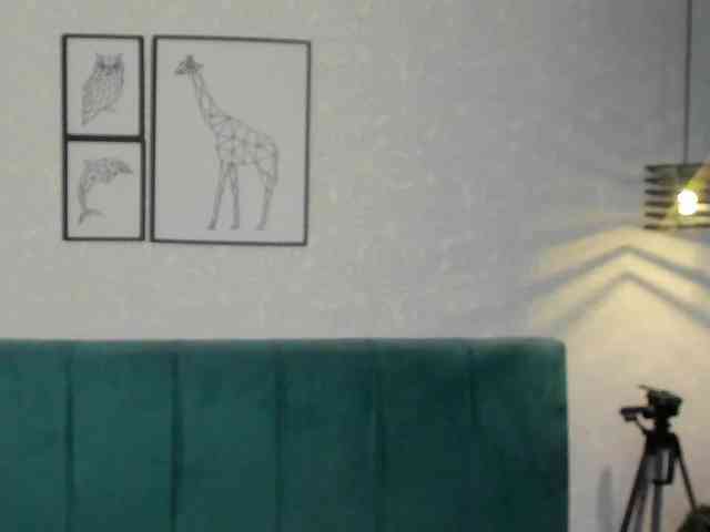 ninna-curly ninna-curly