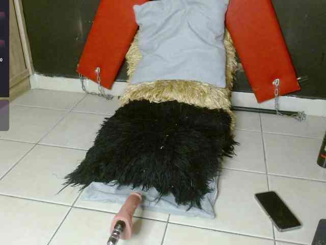 Noah-miller Noah-miller