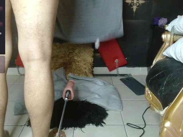 Noah-miller Noah-miller