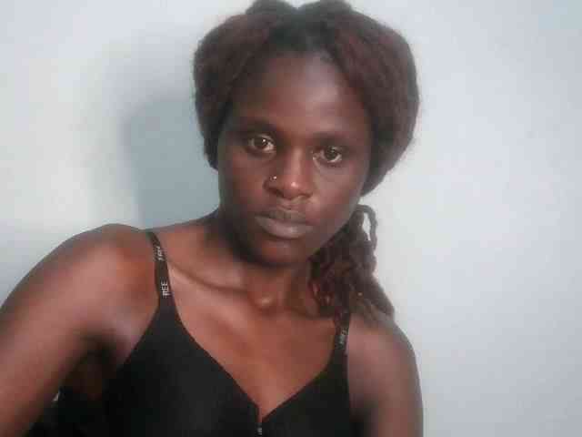 Chocolate-fudgecake webcam