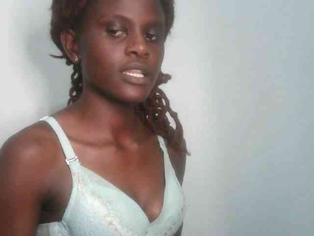 Chocolate-fudgecake webcam