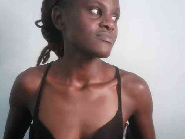 Chocolate-fudgecake Chocolate-fudgecake