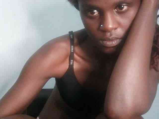 Chocolate-fudgecake webcam