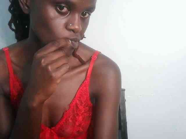 Chocolate-fudgecake Chocolate-fudgecake