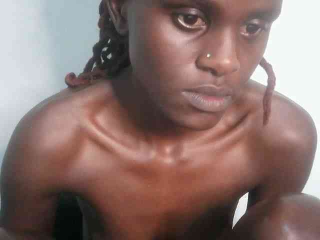 Chocolate-fudgecake Chocolate-fudgecake