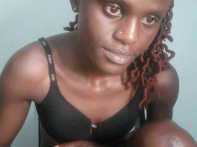 Chocolate-fudgecake webcam