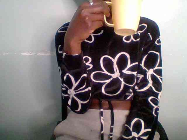 Chocolate-fudgecake webcam