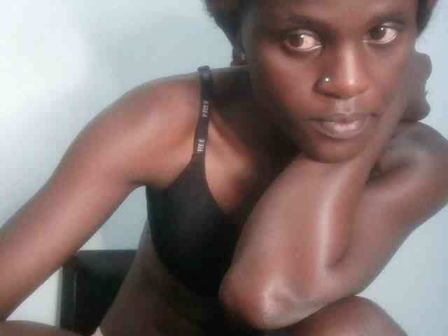 Chocolate-fudgecake webcam