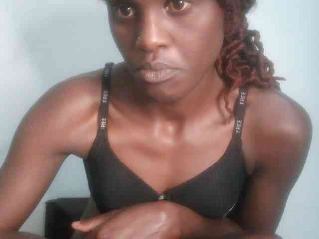 Chocolate-fudgecake webcam