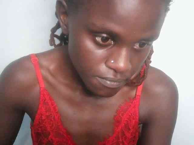 Chocolate-fudgecake Chocolate-fudgecake