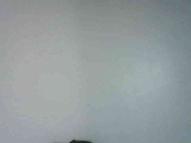 Chocolate-fudgecake webcam