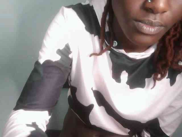 Chocolate-fudgecake webcam