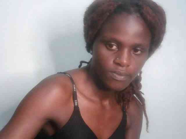 Chocolate-fudgecake webcam