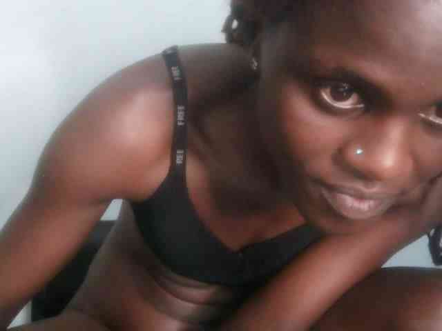 Chocolate-fudgecake webcam