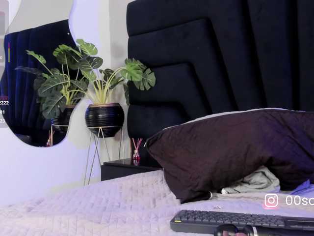 Preview of foxy-katt