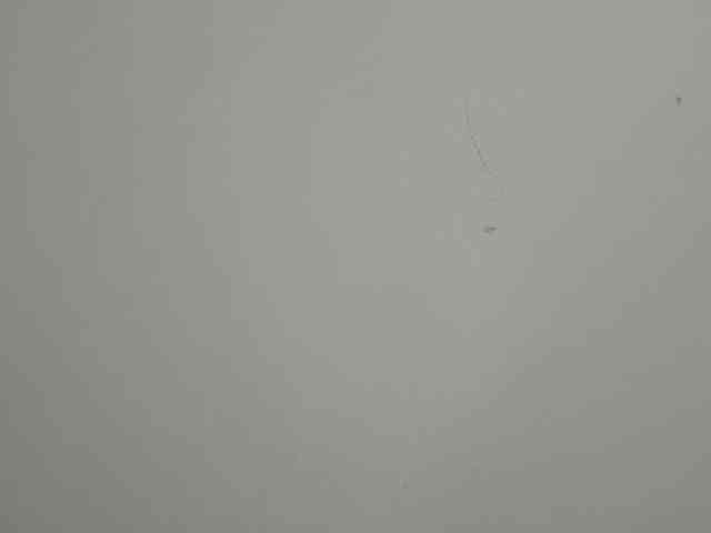 LupeVillari LupeVillari