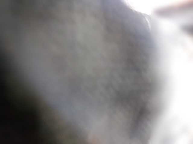 EmilyCCm's BongaCams show and profile