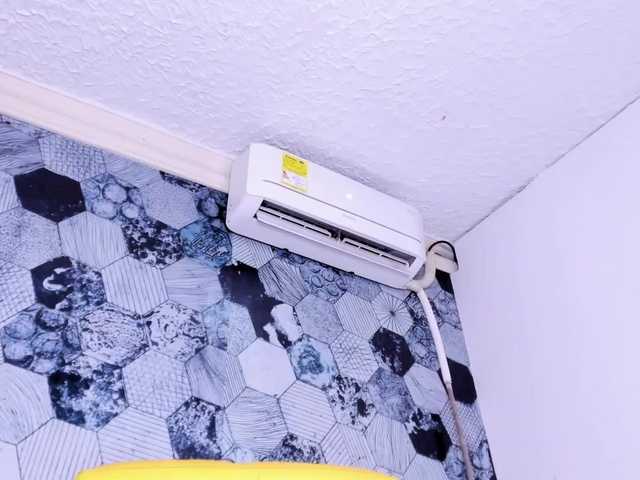 AmberRoses webcam bongacams model stream image