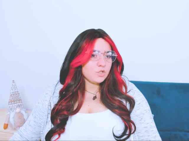 HarperFlexible webcam