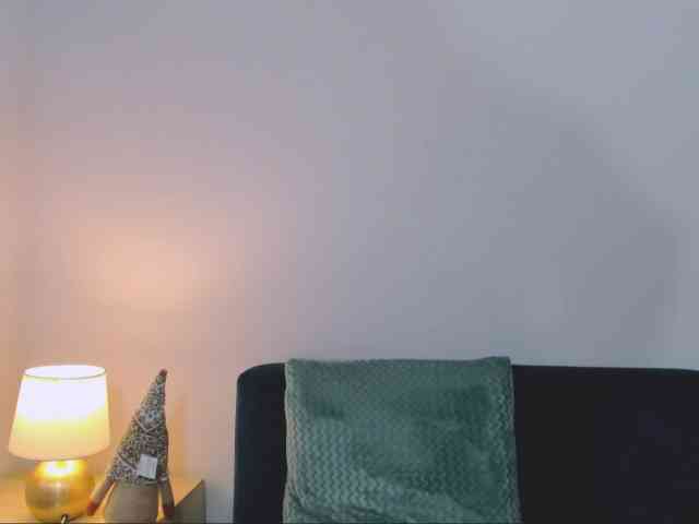 HarperFlexible webcam