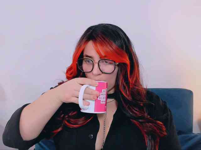 HarperFlexible webcam