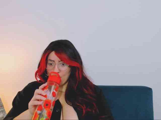 HarperFlexible webcam