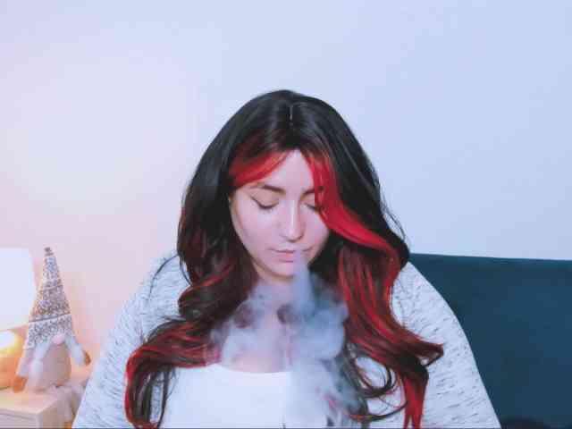 HarperFlexible webcam