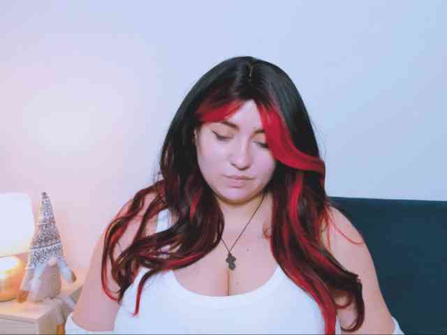 HarperFlexible webcam