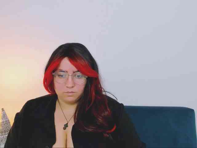 HarperFlexible webcam