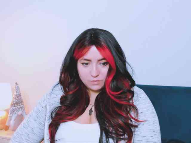 HarperFlexible webcam