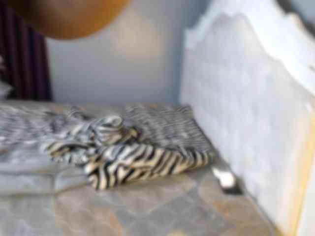 Secretarysandy Secretarysandy