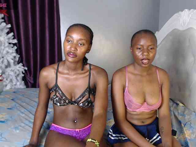 Secretarysandy2 webcam