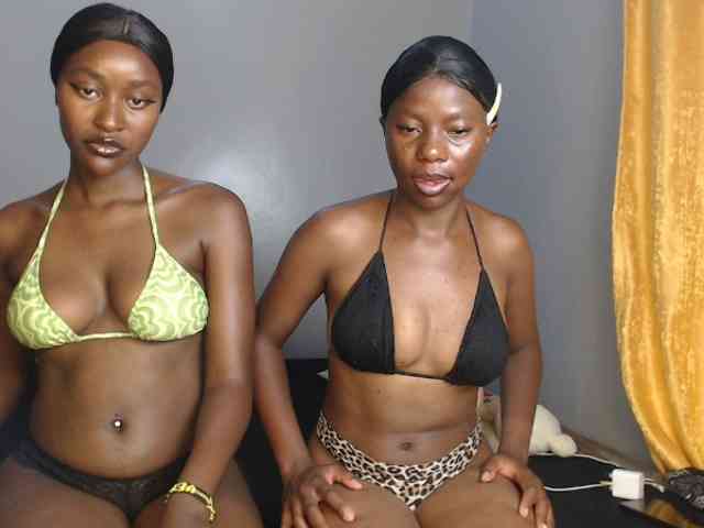 Secretarysandy2 webcam