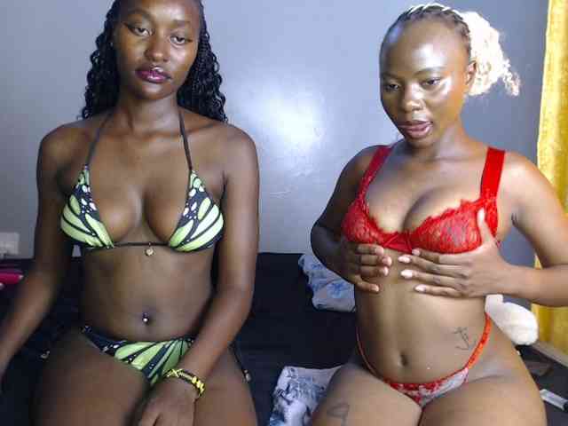 Secretarysandy2 webcam