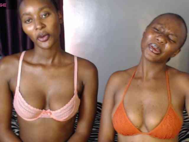 Secretarysandy2 webcam