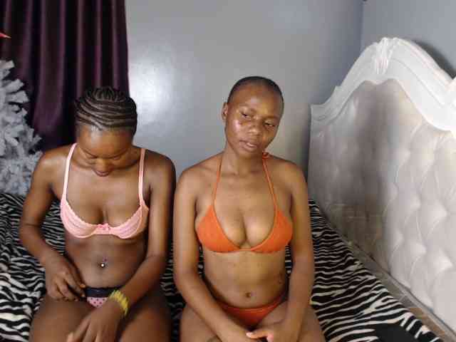 Secretarysandy2 webcam