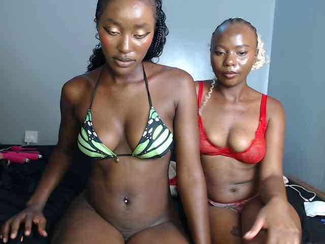 Secretarysandy2 webcam